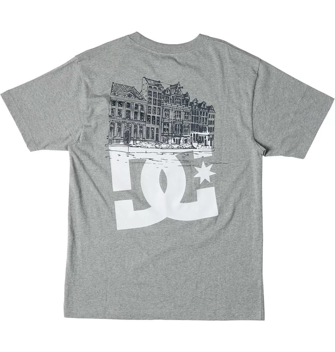 DC Shoes Men'S Dc X Ben-G Amsterdam T-Shirt Heather Grey-Men T-Shirts