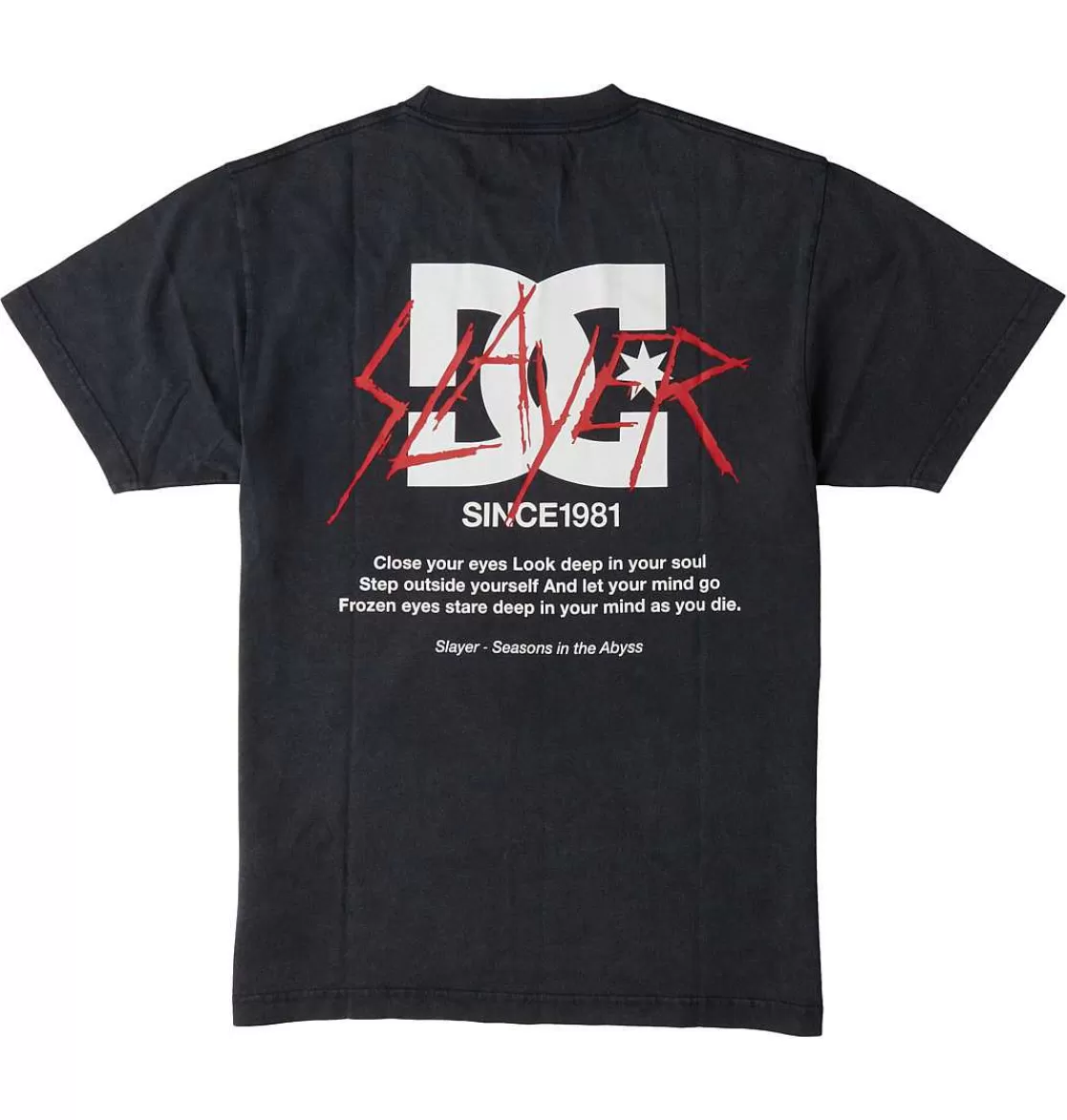 DC Shoes Men'S Dc X Slayer 1981 T-Shirt Black Acid Wash-Men T-Shirts